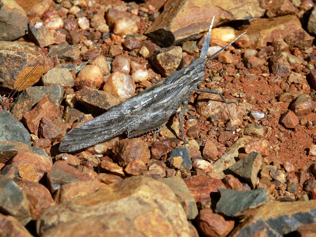 090509_South_Africa 236.jpg